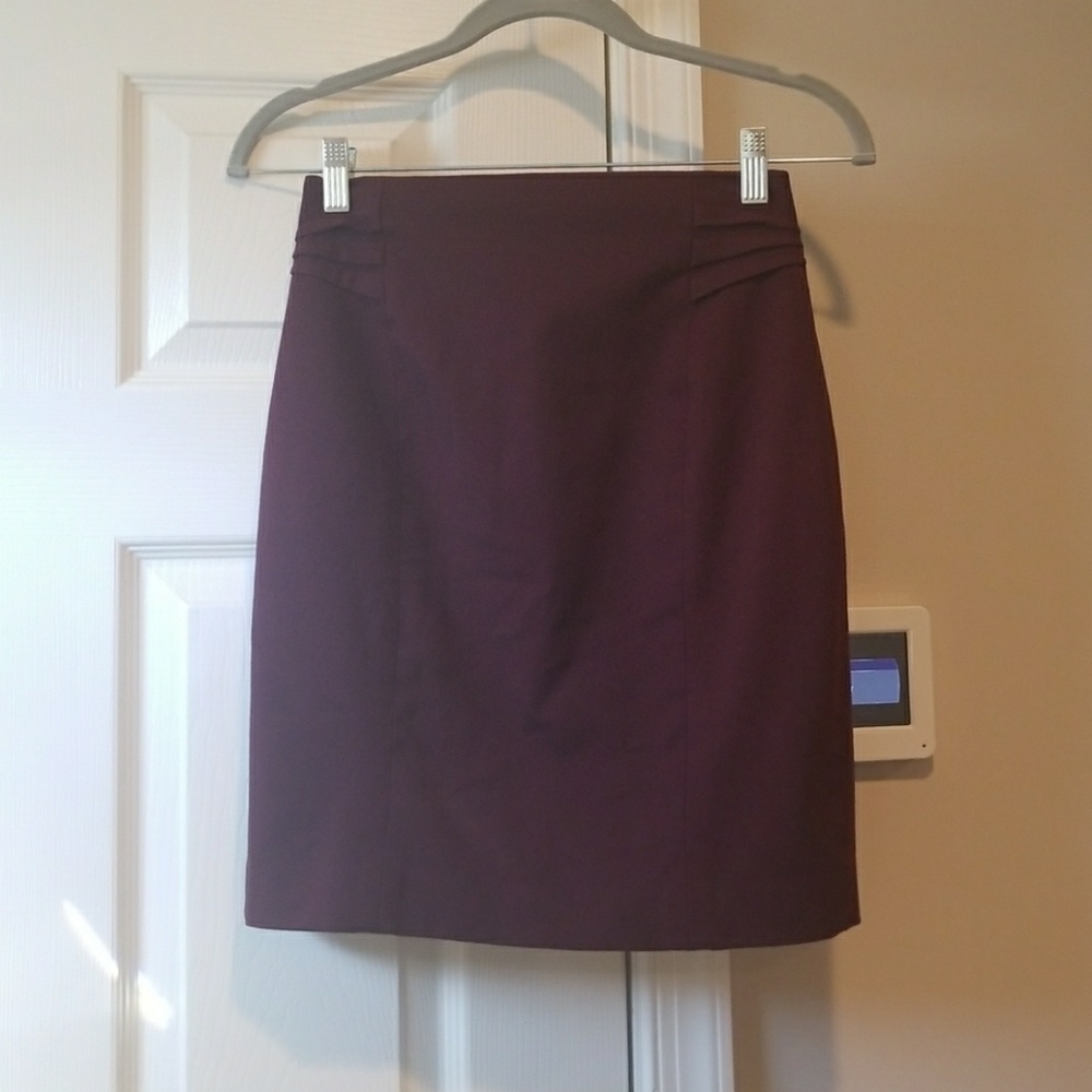 Express Pencil Skirt